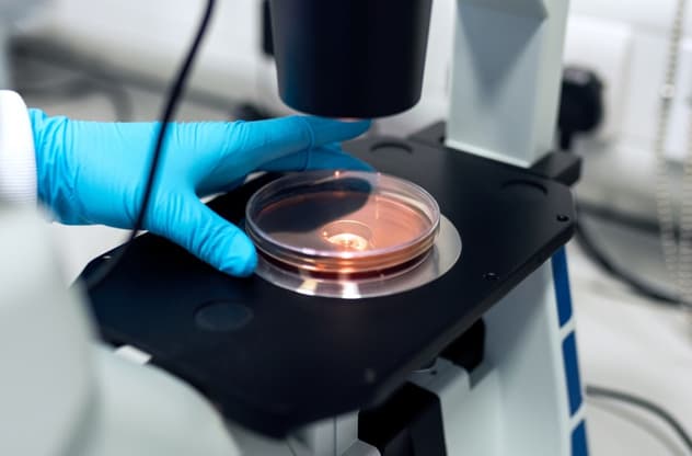 Labs & Diagnostics