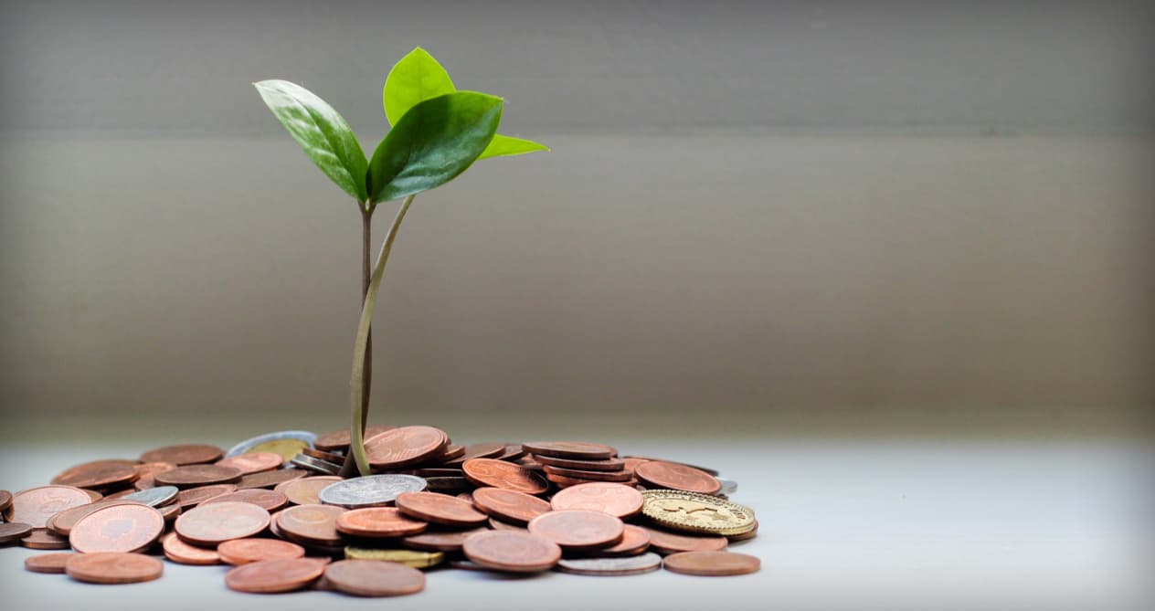 Champion your workforce with these 5 free benefits cover image