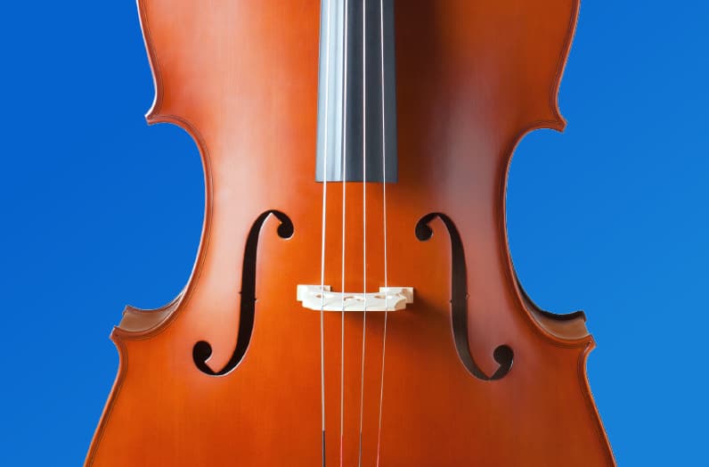 Orchestrate success: The role of digital technology in connecting your team cover image